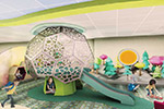 Celebrity Apex Gallery Image